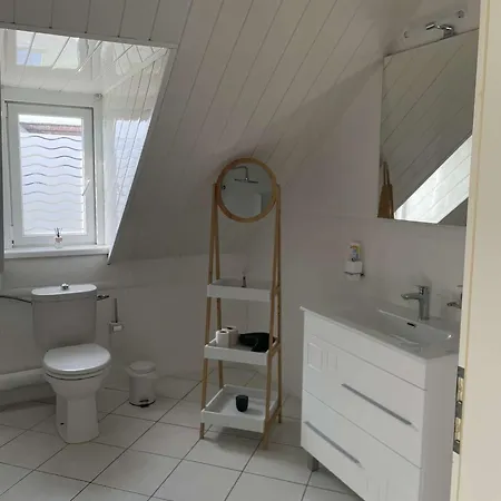 Apartment Joli Avec Place De Parking Prive Colmar